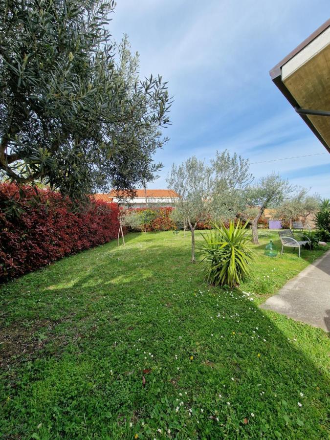 Il Ciliegio Affittacamere Treglio Esterno foto